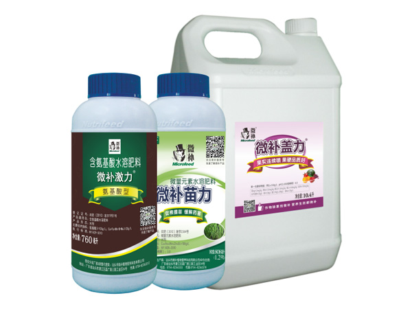 讓作物安全過(guò)冬的實(shí)用小妙招，速看
