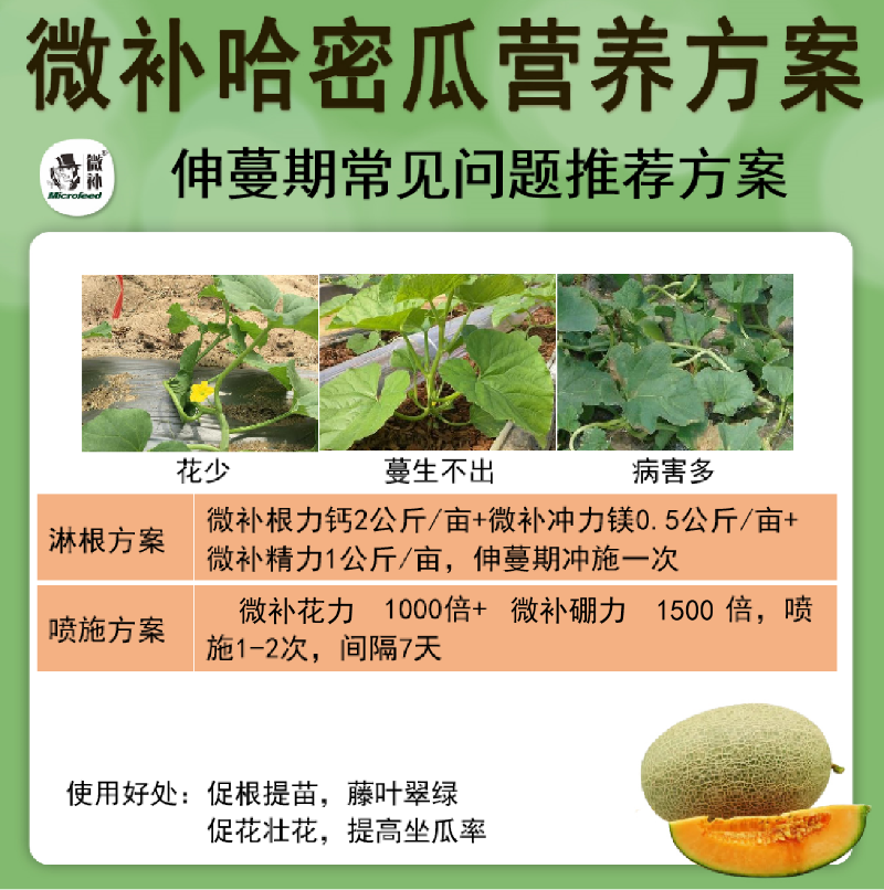 圖片3
