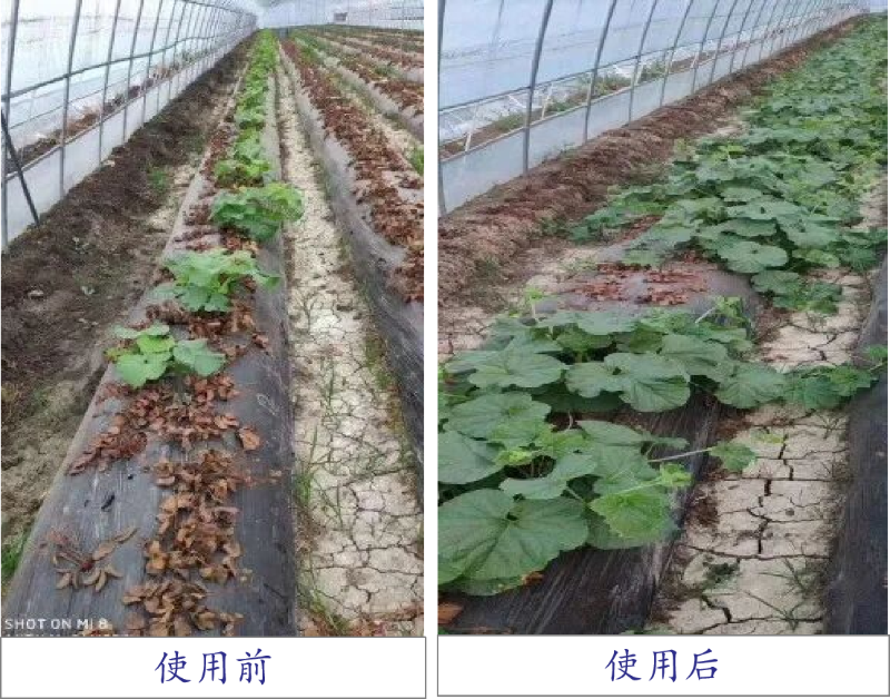 圖片4