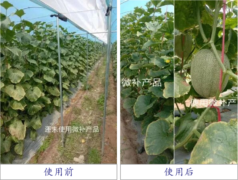 圖片5
