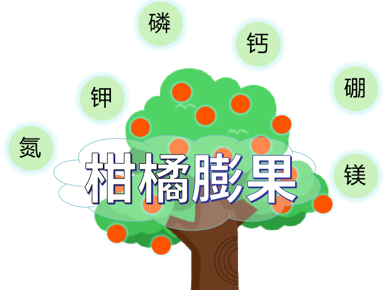 柑橘膨果慢？找準原因，“對癥下藥”