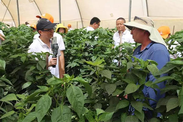 深度思考：我們到底應該向以色列農業(yè)學(xué)習什么？